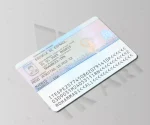 رزیدنت کارت اسپانیا