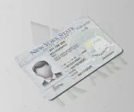 گواهینامه رانندگی نیویورک