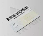 گواهینامه رانندگی نیویورک
