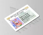 استیکر کارت گواهینامه پاتریک